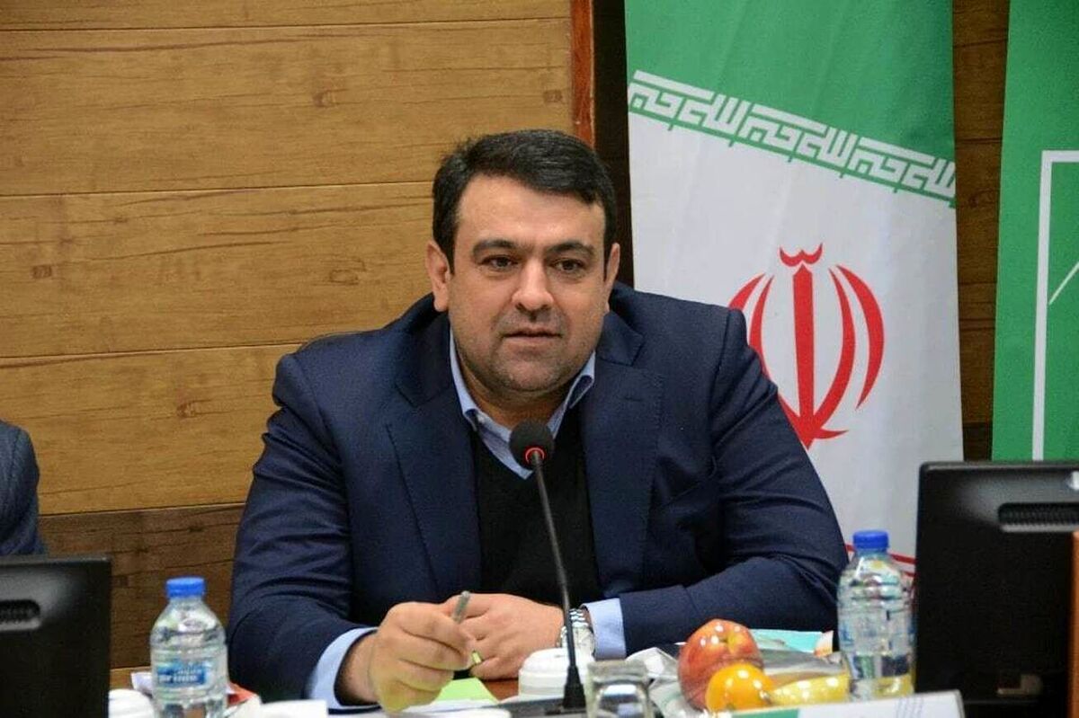 پیام تبریک مدیر عامل بانک ملی ایران به مناسبت آغاز ایام الله دهه فجر