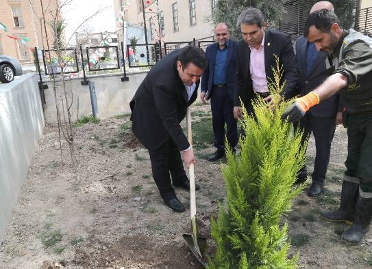 کاشت نهال توسط سرپرست بانک ملی ایران به مناسبت روز درختکاری